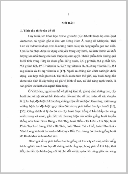 Luận án Nghiên cứu biện pháp kỹ thuật nâng cao năng suất và chất lượng một số giống bưởi đỏ tại Hà Nội
