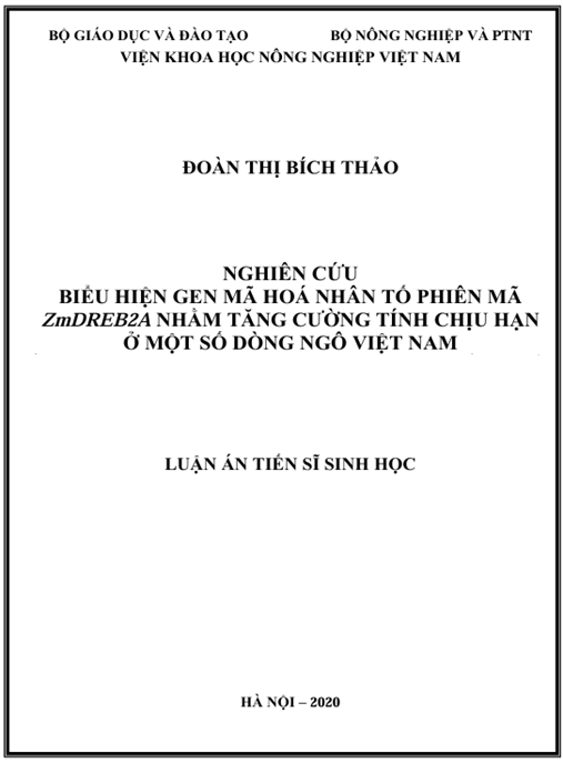 Luận án Nghiên cứu biểu hiện gen mã hoá nhân tố phiên mã ZmDREB2A nhằm tăng cường tính chịu hạn ở một số dòng ngô Việt Nam