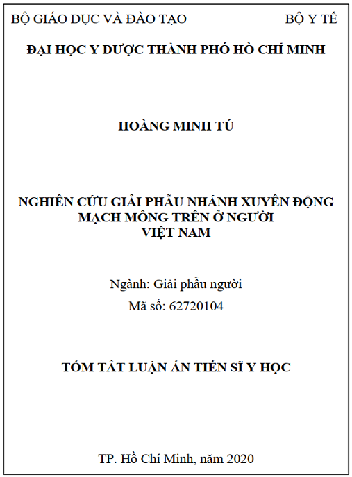 Luận án Nghiên cứu giải phẫu nhánh xuyên động mạch mông trên ở người Việt Nam