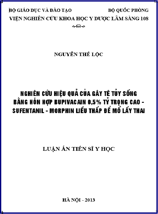 Luận án  Nghiên cứu hiệu quả của gây tê tủy sống bằng hỗn hợp bupivacain 0,5% tỷ trọng cao – sufentanil – morphin liều thấp để mổ lấy thai