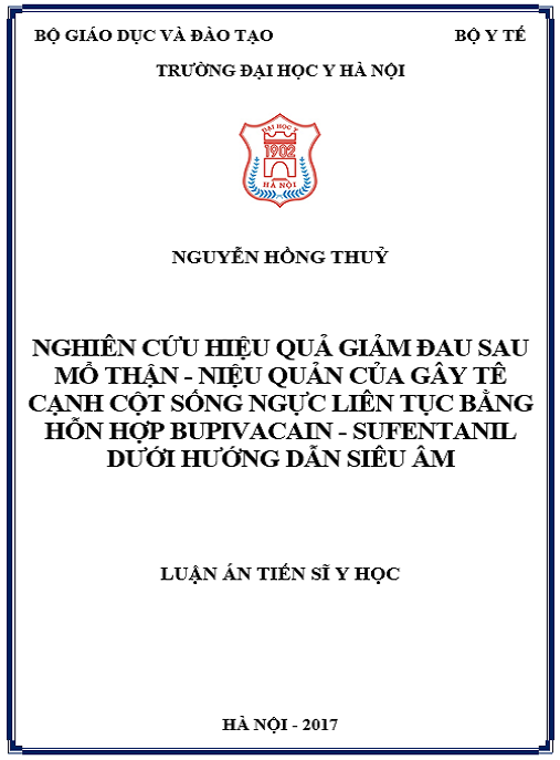 Luận án Nghiên cứu hiệu quả giảm đau sau mổ thận – niệu quản của gây tê cạnh cột sống ngực liên tục bằng hỗn hợp bupivacain – sufentanil dưới hướng dẫn siêu âm