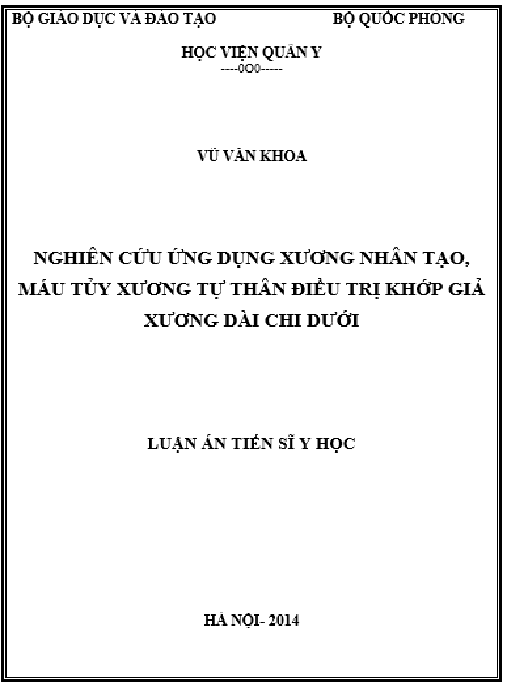 Luận án Nghiên cứu ứng dụng xương nhân tạo máu tủy xương tự thân điều trị khớp giả xương dài chi dưới