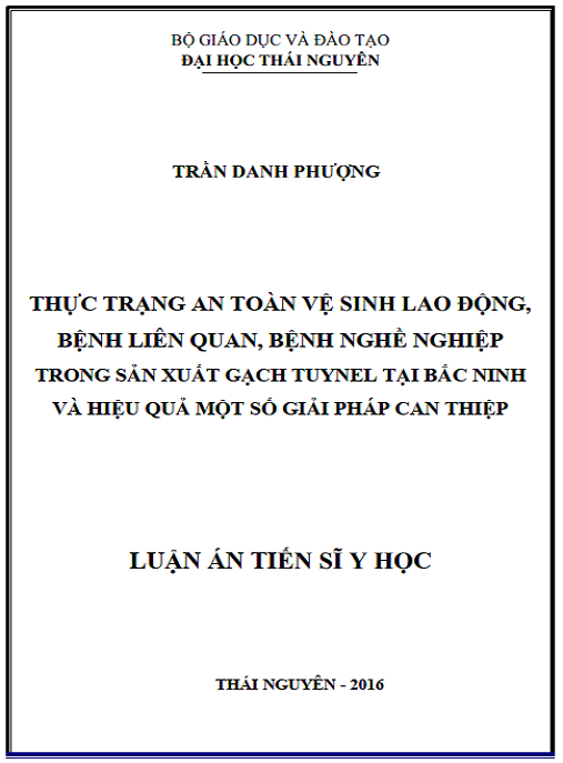 Luận án Thực trạng an toàn vệ sinh lao động, bệnh liên quan, bệnh nghề nghiệp trong sản xuất gạch Tuynel tại Bắc Ninh và hiệu quả một số giải pháp can thiệp