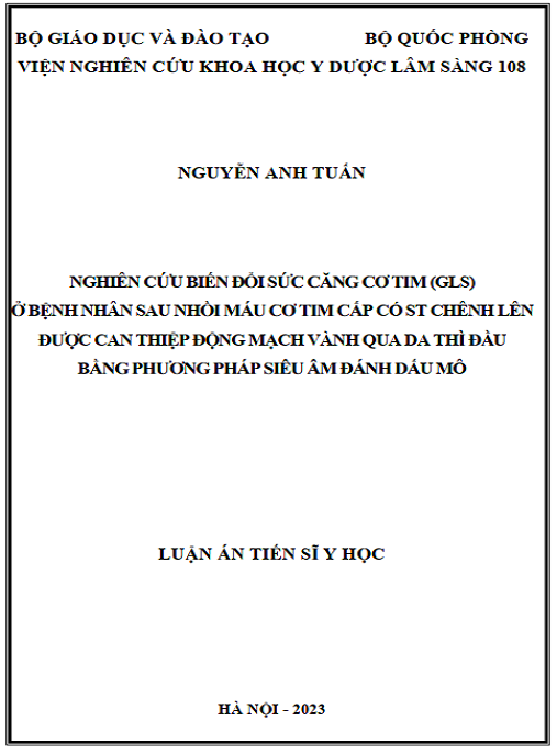 Luận án Nghiên cứu biến đổi sức căng cơ tim ở bệnh nhân nhồi máu cơ tim cấp có ST chênh lên sau can thiệp động mạch vành qua da thì đầu bằng phương pháp siêu âm đánh dấu mô