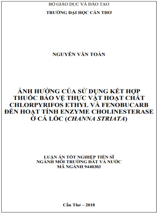 Luận án Ảnh hưởng của sử dụng kết hợp thuốc bảo vệ thực vật hoạt chất Chlorpyrifos ethyl và Fenobucarb đến hoạt tính enzyme Cholinesterase cá lóc (Channa striata)