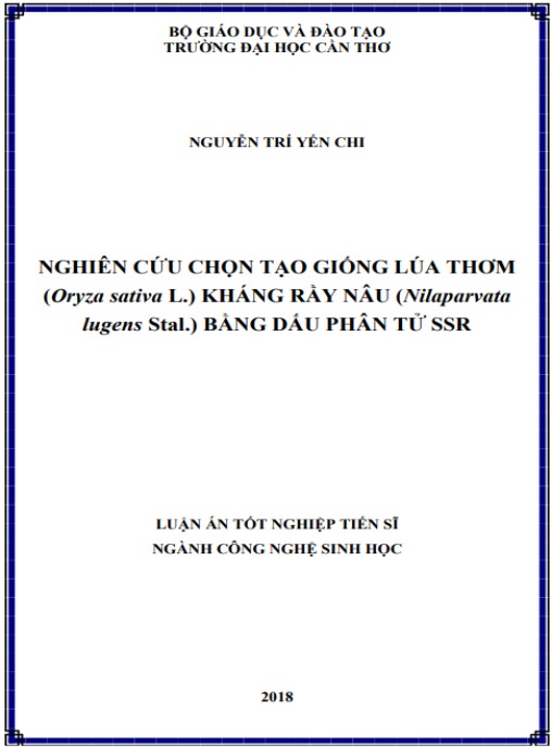 Luận án Nghiên cứu chọn tạo giống lúa thơm kháng rầy nâu (Nilaparvata lugenes Stal) bằng dấu phân tử SSR