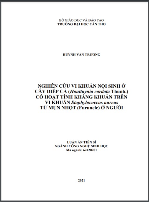 Luận án Phân lập vi khuẩn nội sinh ở cây Diếp cá Houttuynia cordata Thunb có hoạt tính kháng khuẩn trên vi khuẩn Staphylococcus aureus từ mụn nhọt Furuncle ở người